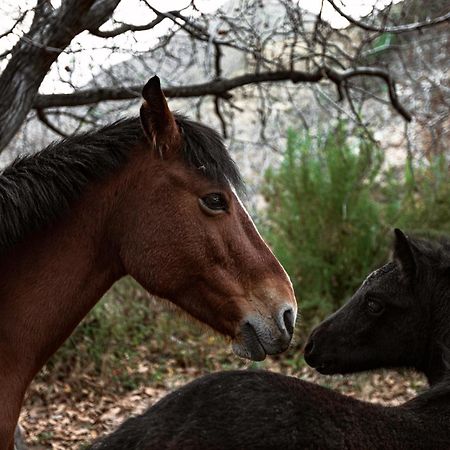 مبيت وإفطار Río Blanco Casona El Resguardo - Solo Adultos المظهر الخارجي الصورة