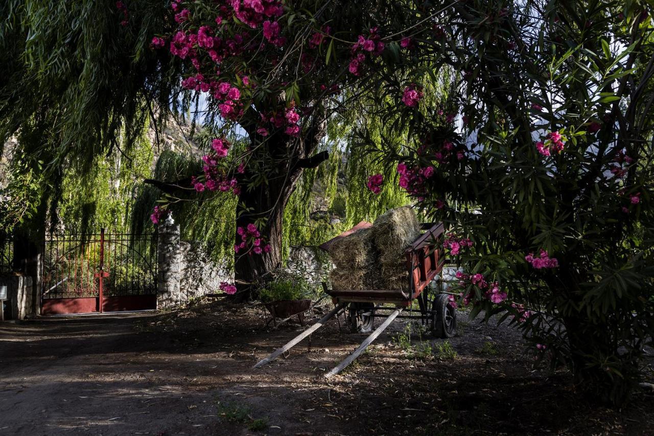 مبيت وإفطار Río Blanco Casona El Resguardo - Solo Adultos المظهر الخارجي الصورة